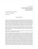 CUENTO AMIGOS APASIONADOS