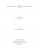 Estrategias de agregación de valor en la producción piscícola en el departamento del Caquetá