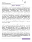 Neisseria Meningitidis