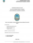 TEMA: “IDEA DE NEGOCIO Y TOMA DE DECISIONES PARA UNA EMPRESA DE PAPAS PRE FRITAS”