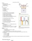 Agua, líquidos y electrolitos