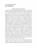 Ensayo contruccion social