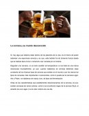 El mundo desconocido de la Cerveza
