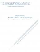 Proyecto modificadores entrega final Los Wrappers