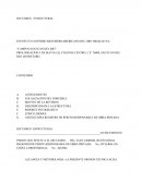 DICTAMEN ESTRUCTURAL