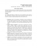 Política y relaciones fronterizas