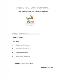 CARRERA PROFESIONAL: Contabilidad y Finanzas.. Página 1