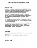 CARACTERIZACIÓN DEL DETERIORO DEL JAMÓN
