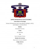 Ensayo Dimensiones de la sexualidad, biológica, ética, psicológica y sociocultural.
