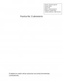 Resumen Practica No. 3 Laboratorio