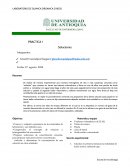 SOLUCIONES Resumen