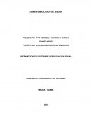 EXAMEN SEMIOLOGICO EQUINO