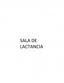 Salas de lactancia: Diseño, requisitos mínimos y la importancia de estos espacios