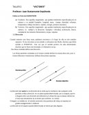 Existen en Física dos MAGNITUDES