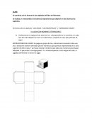 Prácticas del Lenguajen