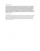 ESTUDIANTE EMPRENDEDOR OPERACIÓN DE BAR