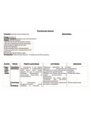 Planificación Mensual Unidad temática: sistemas de comunicación