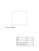 Plan Formatos de Auditoria 2017