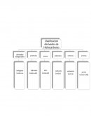 Temas selectos de quimica organizacion etapa 1