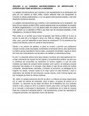 ANÁLISIS A LA VARIABLE MACROECONÓMICA DE IMPORTACIÓN Y EXPORTACIÓN COMO INCIDEN EN LA INVERSIÓN.