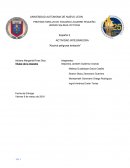 PREPARATORIA 25 DR. EDUARDO AGUIRRE PEQUEÑO UNIDAD SALINAS VICTORIA