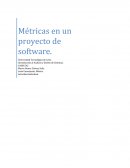 Métricas en un proyecto de software.