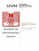 Descripción del sistema financiero mexicano