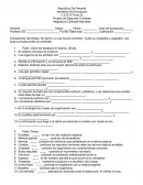 Prueba del Segundo Trimestre