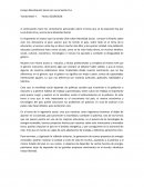 Ensayo sobre Movilización Social