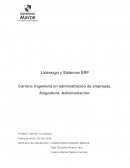 Administración. Liderazgo y Sistemas ERP