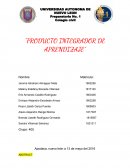 PÍA MULTIDISCIPLINARIO 4TO SEMESTRE