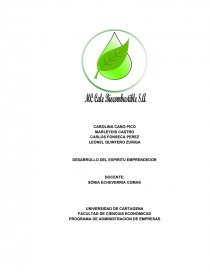 DESARROLLO DEL ESPIRITU EMPRENDEDOR. Página 1