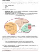 Microbiologia conceptos