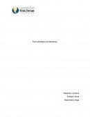 Plan de Marketing Industrial