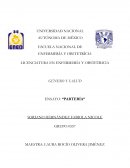 ENSAYO: “PARTERÍA” GÉNERO Y SALUD