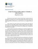 Ensayo sobre, Estado Social de los indios chilenos: la familia, la tribu, la guerra. (Diego Barros Arana)