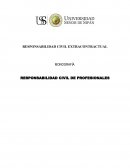 Resposabilidad medica