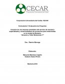 Formulación Y Evaluación de Proyectos Almacén y Taller Motomanía 1ª