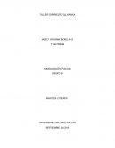 TALLER CORRIENTE GALVÁNICA