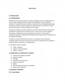 Resumen iso 9001