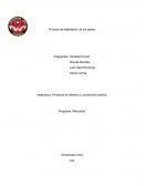 Principio de habilitacion de las partes