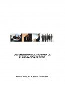 DOCUMENTO INDICATIVO PARA LA ELABORACIÓN DE TESIS