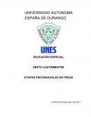 Ensayo freud etapas psicosexuales