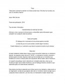 Descubren submarino alemán en el área donde hace 100 años fue hundido uno “por un monstruo marino