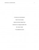 Funciones de la Administración trabajo