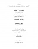 Actividad. Formulación estratégica, seguimiento y control. Empresa: Panelitas la cabra