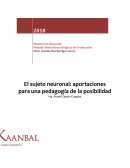 El sujeto neuronal: aportaciones para una pedagogía de la posibilidad