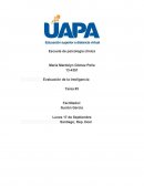 Evaluación de la inteligencia. ¿Qué tipo de persona es el psicólogo?