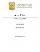 Fisiología vegetal 500