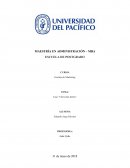 Caso “Chevrolet Zafira”